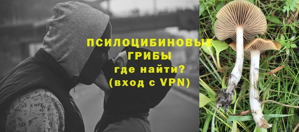 стафф Баксан