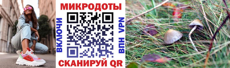 Галлюциногенные грибы мицелий  Отрадный 